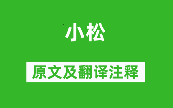 杜荀鶴《小松》原文及翻譯注釋,詩(shī)意解釋