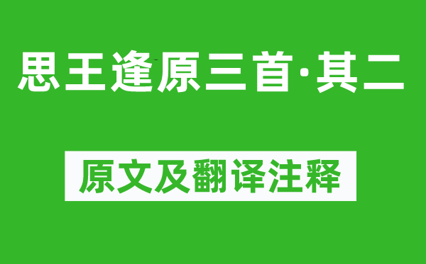 王安石《思王逢原三首·其二》原文及翻譯注釋,詩意解釋