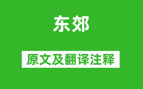 韋應(yīng)物《東郊》原文及翻譯注釋,詩意解釋