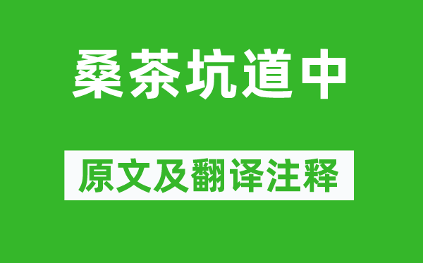 楊萬里《桑茶坑道中》原文及翻譯注釋,詩意解釋