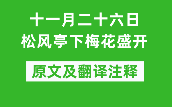蘇軾《十一月二十六日松風亭下梅花盛開》原文及翻譯注釋,詩意解釋