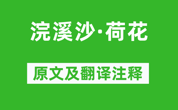 蘇軾《浣溪沙·荷花》原文及翻譯注釋,詩(shī)意解釋