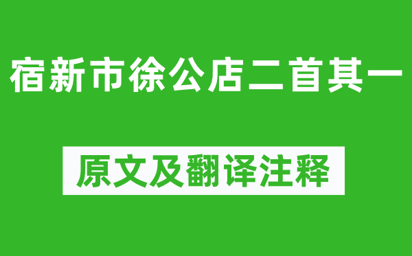 楊萬里《宿新市徐公店二首其一》原文及翻譯注釋,詩(shī)意解釋