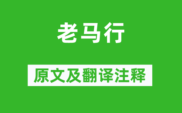 陸游《老馬行》原文及翻譯注釋,詩意解釋