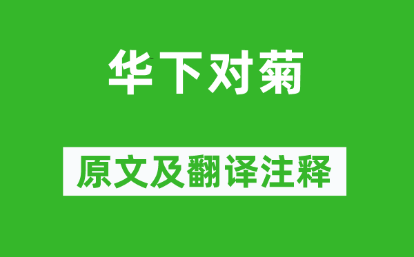 司空?qǐng)D《華下對(duì)菊》原文及翻譯注釋,詩(shī)意解釋