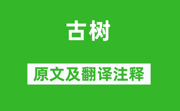 杜濬《古樹》原文及翻譯注釋,詩意解釋