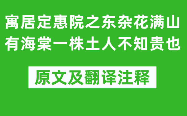 蘇軾《寓居定惠院之東雜花滿山有海棠一株土人不知貴也》原文及翻譯注釋,詩(shī)意解釋