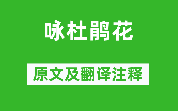 釋擇璘《詠杜鵑花》原文及翻譯注釋,詩意解釋