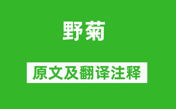 王建《野菊》原文及翻譯注釋,詩意解釋