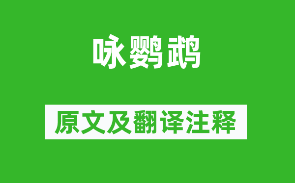 僧定渚《詠鸚鵡》原文及翻譯注釋,詩意解釋
