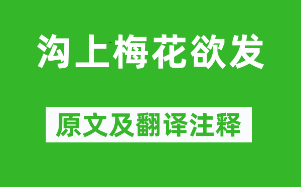 王安石《溝上梅花欲發(fā)》原文及翻譯注釋,詩意解釋