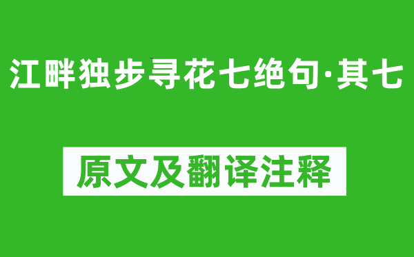杜甫《江畔獨(dú)步尋花七絕句·其七》原文及翻譯注釋,詩意解釋