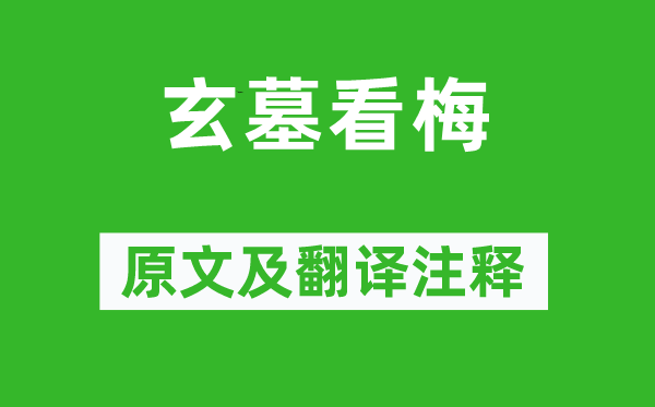 德元《玄墓看梅》原文及翻譯注釋,詩意解釋