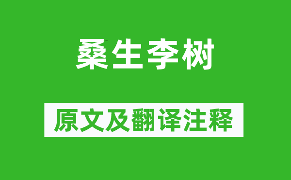 《桑生李樹》原文及翻譯注釋,詩意解釋
