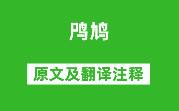 詩經·國風《鸤鳩》原文及翻譯注釋,詩意解釋