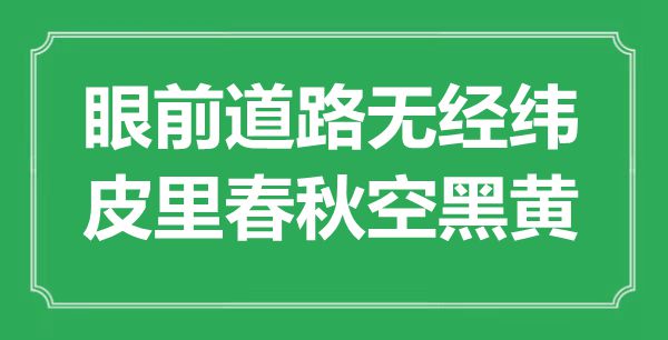 “眼前道路無(wú)經(jīng)緯，皮里春秋空黑黃”是什么意思,出處是哪里