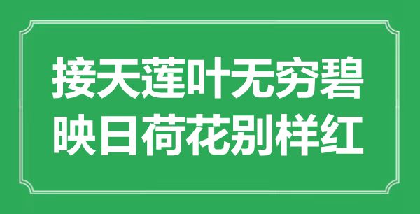 ““接天蓮葉無窮碧，映日荷花別樣紅”是什么意思_出處是哪里