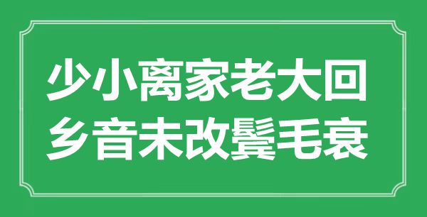 “少小離家老大回，鄉(xiāng)音未改鬢毛衰”的意思是什么,出處是哪首詩