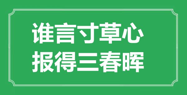 “誰(shuí)言寸草心,報(bào)得三春暉”是什么意思,出處是哪里