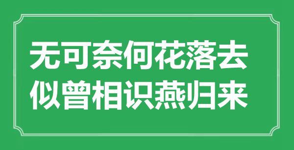 “無可奈何花落去，似曾相識燕歸來”是什么意思,出處是哪里