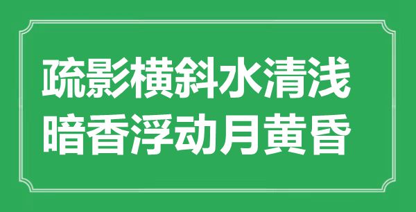“疏影橫斜水清淺，暗香浮動月黃昏”是什么意思,出處是哪里