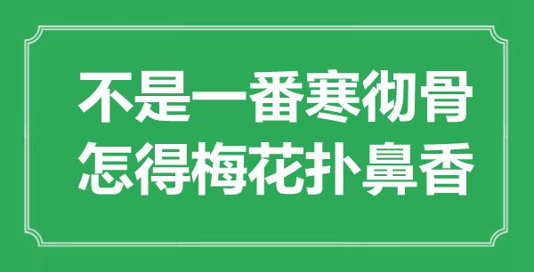 “不是一番寒徹骨,怎得梅花撲鼻香”是什么意思,出處是哪里