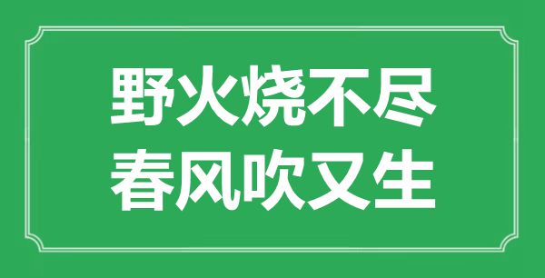 “野火燒不盡,春風(fēng)吹又生”是什么意思,出處是哪里
