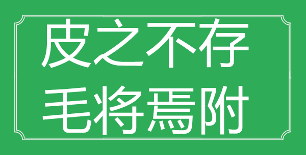 “皮之不存，毛將焉附”的意思出處及全文賞析