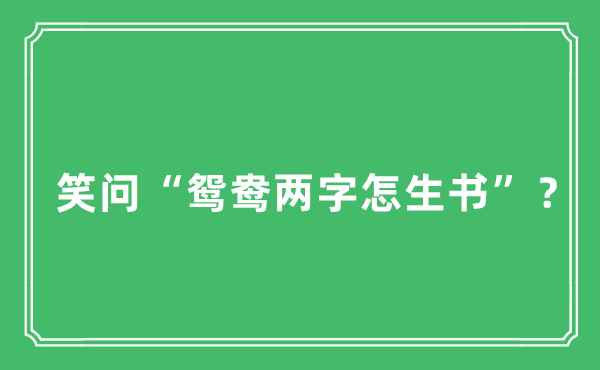 “笑問“鴛鴦兩字怎生書”？”是什么意思,出處及原文翻譯