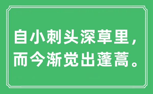 “自小刺頭深草里,而今漸覺出蓬蒿”是什么意思,出處及原文翻譯
