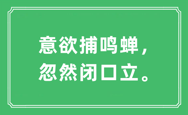 “意欲捕鳴蟬，忽然閉口立”是什么意思,出處及原文翻譯