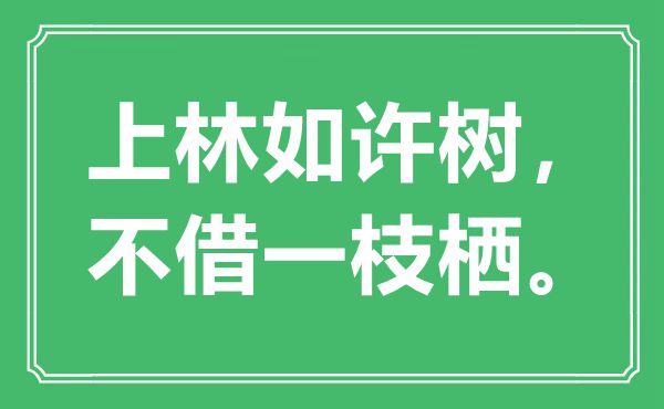 “上林如許樹(shù)，不借一枝棲”是什么意思,出處是哪里