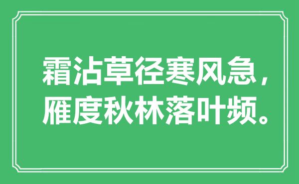 “霜沾草徑寒風(fēng)急，雁度秋林落葉頻”是什么意思,出處是哪里