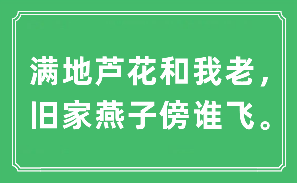 “滿地蘆花和我老，舊家燕子傍誰飛”是什么意思,出處及原文翻譯