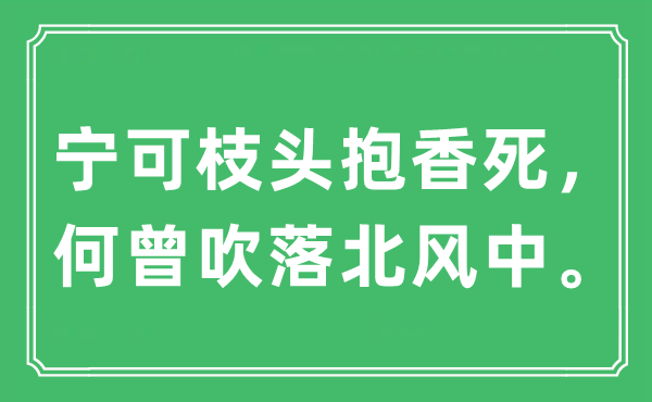 “寧可枝頭抱香死，何曾吹落北風(fēng)中”是什么意思,出處及原文翻譯