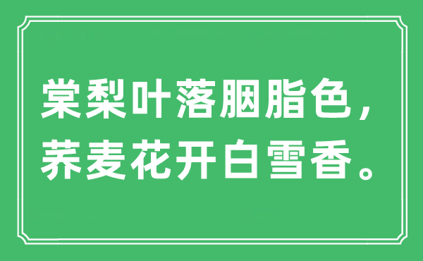 “棠梨葉落胭脂色,蕎麥花開白雪香”是什么意思,出處及原文翻譯