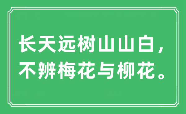 “長天遠(yuǎn)樹山山白，不辨梅花與柳花”是什么意思,出處及原文翻譯
