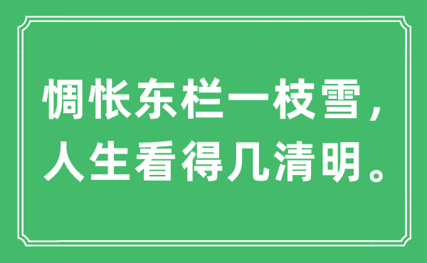 “惆悵東欄一枝雪，人生看得幾清明?！笔鞘裁匆馑?出處及原文翻譯