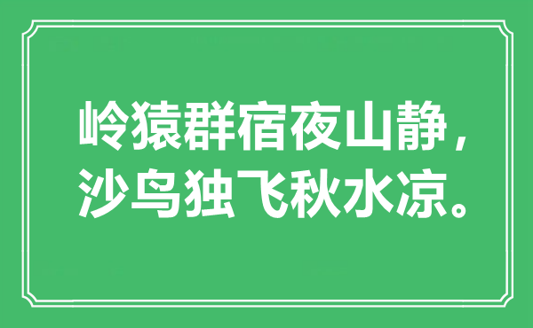 “嶺猿群宿夜山靜，沙鳥獨飛秋水涼”是什么意思,出處是哪里