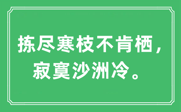 “揀盡寒枝不肯棲，寂寞沙洲冷”是什么意思,出處及原文翻譯