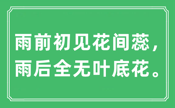 “雨前初見花間蕊，雨后全無(wú)葉底花”是什么意思,出處及原文翻譯