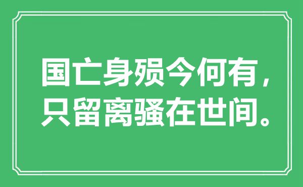“國亡身殞今何有，只留離騷在世間”是什么意思,出處是哪里