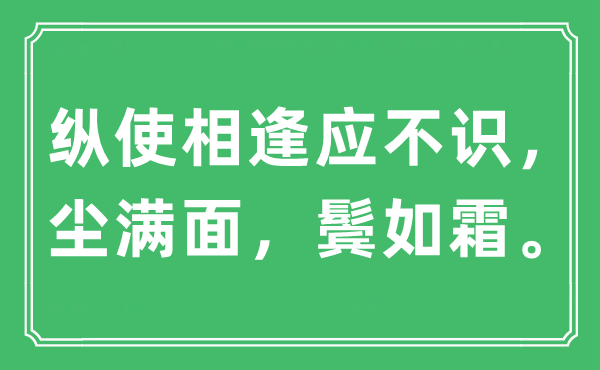 “縱使相逢應(yīng)不識(shí)，塵滿(mǎn)面，鬢如霜”是什么意思,出處及原文翻譯