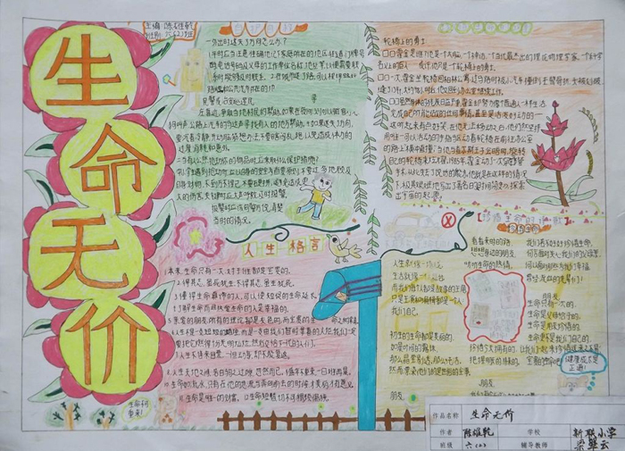 小學(xué)生安全教育手抄報(bào)，生命無(wú)價(jià)