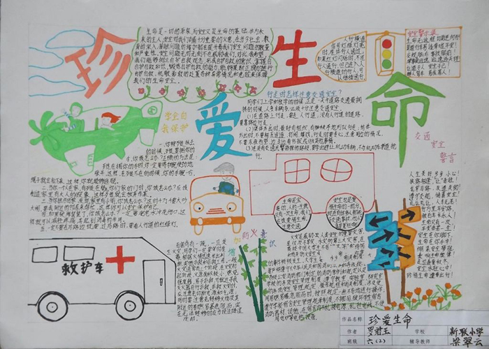 小學(xué)生安全教育手抄報(bào)，珍愛生命