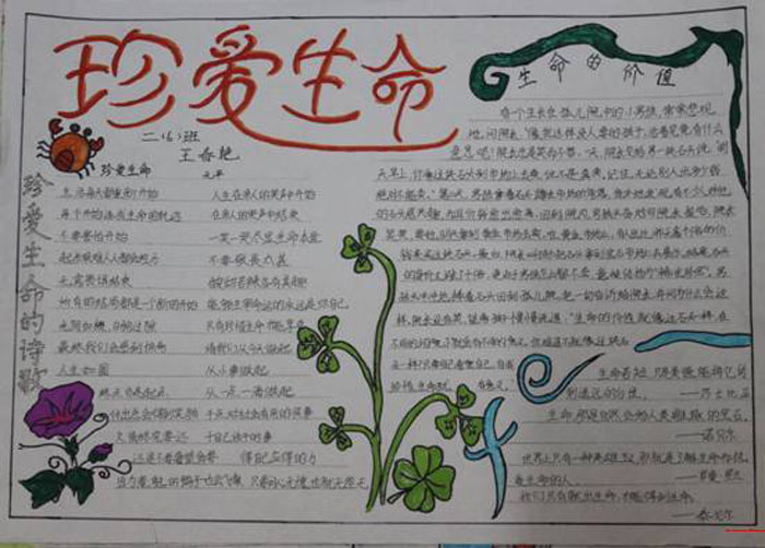 安全在我心中手抄報(bào)，生命的價(jià)值
