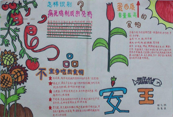 小學(xué)生食品安全手抄報(bào)圖片