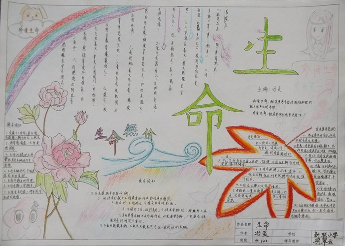 小學(xué)生安全教育手抄報(bào)，生命