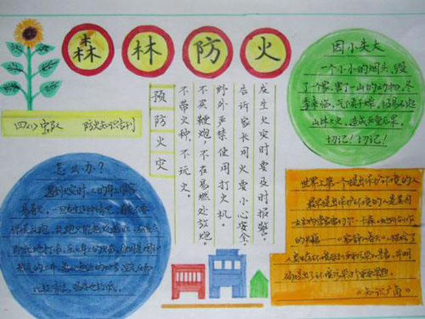 消防安全手抄報，森林防火很重要