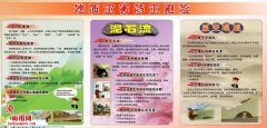 泥石流手抄報(bào)